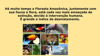Há muito tempo a Floresta Amazônica, juntamente com
sua fauna e flora, está cada vez mais ameaçada de
extinção, devido à intervenção humana.
É grande o índice de desmatamento.
 