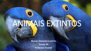 ANIMAIS EXTINTOS
Alunas: Giovanna e Letícia
Turma: 43
Professor: Vicente
 