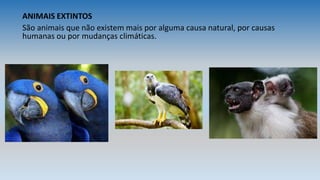 ANIMAIS EXTINTOS
São animais que não existem mais por alguma causa natural, por causas
humanas ou por mudanças climáticas.