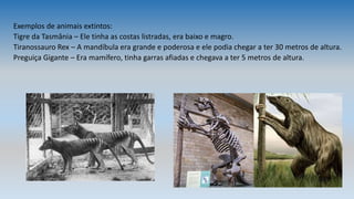 Exemplos de animais extintos:
Tigre da Tasmânia – Ele tinha as costas listradas, era baixo e magro.
Tiranossauro Rex – A mandíbula era grande e poderosa e ele podia chegar a ter 30 metros de altura.
Preguiça Gigante – Era mamífero, tinha garras afiadas e chegava a ter 5 metros de altura.