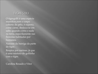 O tigregolfi é uma espécie
mamífora,tem o corpo
coberto de pêlo, é esperto,
come carne, desloca-se em
salto quando corre e nada
na terra, especilamente nas
florestas habitadas por
humanos.
Nascem da barriga da parte
do tigre.
Respira por narinas, já que
é uma mistura do golfinho
com o tigre.
Carolina Rosado e Vitor
 
