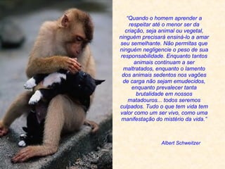 Albert Schweitzer “ Quando o homem aprender a respeitar até o menor ser da criação, seja animal ou vegetal, ninguém precisará ensiná-lo a amar seu semelhante. Não permitas que ninguém negligencie o peso de sua responsabilidade. Enquanto tantos animais continuam a ser maltratados, enquanto o lamento dos animais sedentos nos vagões de carga não sejam emudecidos, enquanto prevalecer tanta brutalidade em nosso s  matadouros... todos seremos culpados. Tudo o que tem vida tem valor como um ser vivo, como uma manifestação do mistério da vida. ” 