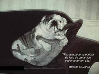 “ Ninguém pode se queixar da falta de um amigo  pod endo ter um cão. ” Marquês de Maricá 