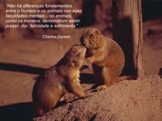 “ Não há diferenças fundamentais entre o homem e os animais nas suas faculdades mentais...   os animais, como os homens, demonstram sentir prazer, dor, felicidade e sofrimento. ” Charles Darwin 