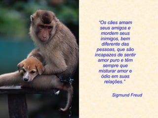 Sigmund Freud  “ Os cães amam seus amigos e mordem seus inimigos, bem diferente das pessoas, que são incapazes de sentir amor puro e têm sempre que misturar amor e ódio em suas relações. ”   