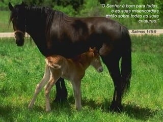 Salmos 145:9  “ O Senhor é bom para todos, e as suas misericórdias estão sobre todas as suas criaturas. ” 