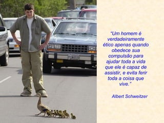 Albert Schweitzer “ Um homem é verdadeiramente ético apenas quando obedece sua compulsão para ajudar toda a vida que ele é capaz de assistir, e evita ferir toda a coisa que vive. ”   