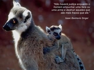 “ Não haverá justiça enquanto o homem empunhar uma faca ou uma arma e destruir aqueles que são mais fracos que ele. ” Isaac Bashevis Singer 