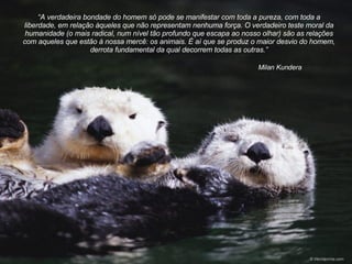 Milan Kundera “ A verdadeira bondade do homem só pode se manifestar com toda a pureza, com toda a liberdade, em relação àqueles que não representam nenhuma força. O verdadeiro teste moral da humanidade   (o mais radical, num nível tão profundo que escapa ao nosso olhar) são as relações com aqueles que estão à nossa mercê: os animais. É aí que se produz o maior desvio do homem ,  derrota fundamental da qual decorrem todas as outras. ” 