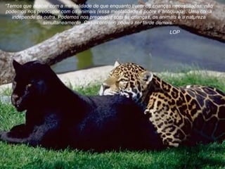 LOP “ Temos que acabar com a mentalidade de   que enquanto tivermos crianças   necessitadas, não podemos nos preocupar com os animais (essa mentalidade é pobre e antiquada). Uma coisa independe da outra. Podemos nos preocupar com as crianças, os animais e a natureza simultaneamente .  Caso contrário poderá ser tarde demais .” 
