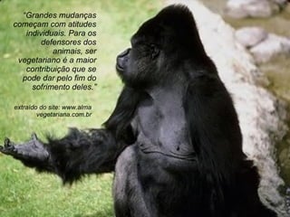 “ Grandes mudanças começam com atitudes individuais. Para os defensores dos animais, ser vegetariano é a maior contribuição que se pode dar pelo fim do sofrimento deles. ” extraído do site: www.alma vegetariana.com.br 