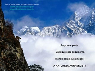 Faça sua  parte. Divulgue este documento. Mande para seus amigos. A NATUREZA AGRADECE !!! Este, e outros slides, você encontra nos sites www. abcanimal .org. br www. floraisecia .com. br 