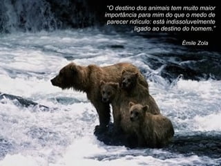 Émile Zola  “ O destino dos animais tem muito maior importância para mim do que o medo de parecer ridículo: está indissoluvelmente ligado ao destino do homem. ” 