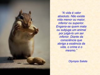 Olympia Salete “ A vida é valor absoluto. Não existe vida menor ou maior, inferior ou superior. Engana-se quem mata ou subjuga um animal por julgá-lo um ser inferior. Diante da consciência que abriga a essência da vida, o crime é o mesmo. ” 