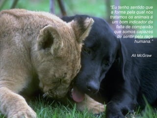 Ali McGraw “ Eu tenho sentido que a forma pela qual nós tratamos os animais é um bom indicador da falta de compaixão que somos capazes de sentir pela raça humana. ” 