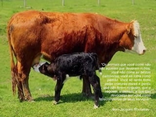 Jean-Jacques Rousseau “ Os animais que você come não são aqueles que devoram outros, você não come as bestas carnívoras, você as toma como padrão. Você só sente fome pelas criaturas doces e gentis que não ferem ninguém, que o seguem, o servem, e que são devoradas por você como recompensa de seus serviços. ” 