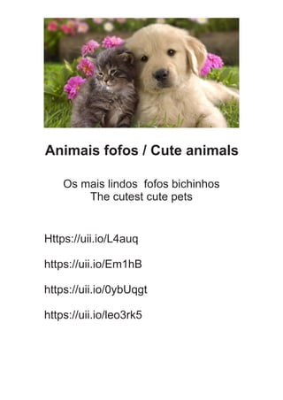 Animais fofos / Cute animals
Os mais lindos fofos bichinhos
The cutest cute pets
Https://uii.io/L4auq
https://uii.io/Em1hB
https://uii.io/0ybUqgt
https://uii.io/leo3rk5
 