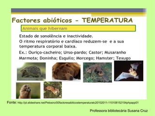 Fonte: http://pt.slideshare.net/Pelosiro/00factoresabiticostemperaturatc20102011-110108152154phpapp01
Professora bibliotecária Susana Cruz
 
