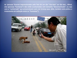 As ‘pessoas’ ficaram impressionadas pelo fato de um cão “vira-lata” ser tão leal… Afinal, elas (pessoas “humanas”) não estão acostumadas com tamanha “desumaninade”, ou seja com a “cachorrada” que presenciavam sem crer (crença que, aliás, também está prática e tristemente em extinção entre os “humanos”). 