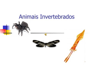 Animais Invertebrados 