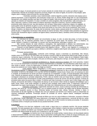 ficam livres na água. A cercaria penetra no ser humano através do contato direto com a pele que utilizam a água
contaminada. Através da circulação sangüínea as larvas chegam nas veias do fígado, lá ocorrem a fecundação; após
migram para o intestino onde se tornam em vermes adultos.
- Cestoidea: parasitas; corpo metamerizado; sistema digestivo ausente, deixando mais espaço para o
sistema reprodutor, o que é importante, pois produzem muitos ovos; ex. tênias. Podem atingir até 12 m de comprimento.
Apresentam uma cabeça (escólex) que age como órgão de fixação, nela encontram-se ventosas e ganchos que fixam o
parasita no intestino do hospedeiro. O corpo e dividido em anéis (proglotes). São hermafroditas: cada anel possui um
útero, testículos, ovários e outras partes do sistema reprodutor masculino e feminino. Ocorre a autofecundação,
produzindo anéis cheios de ovos, que são expulsos com as fezes. Estas podem contaminar a água e os vegetais, os
quais podem servir de alimento ao gado ou suíno. As larvas se instalam nos músculos do boi (Taenia saginata) ou do
porco (Taenia solium). Quando a pessoa come carne mal cozida ou crua corre o risco de se contaminar, pois a larva
atinge o intestino e se desenvolve. Às vezes não há sintomas; outras vezes a pessoa sente dor no abdome, fraqueza e
perda de peso. O diagnóstico da teníase é feito através do exame de fezes. Para combater estes parasitas do organismo
humano são necessários alguns cuidados de higiene básica, saneamento básico, remédios contra vermes (vermífugos),
entre outros.
4. Nematelmintos ou nematóides:
Os indivíduos de vida livre podem ser encontrados na água, no solo, na areia das praias, no fundo de lagos,
mares polares, etc. As espécies parasitas vivem no organismo de outros seres. No homem, vivem no intestino; no
cavalo, habitam o intestino e o estômago; no carneiro nas vias respiratórias, estômago e intestino; etc.
São vermes dotados de corpo cilíndrico e alongados, não segmentados e afilados nas extremidades; seu
tamanho varia bastante; algumas espécies são microscópicas, outras podem chegar até 1metro de comprimento.
Possuem um tubo digestivo completo (boca, tubo digestivo e ânus). Entre o tubo digestivo e a epiderme há
uma cavidade cheia de líquido que ajuda a distribuir o alimento e oxigênio (este líquido sob pressão ajuda a sustentar o
corpo).
Principais representantes:
Ascaris lumbricoides: conhecido como lombriga, causa a ascaríase ou ascaridíase. São dioicos,
medem entre 15 cm e 40 cm. Os ovos saem com as fezes e quando a falta de saneamento básica pode chegar ao solo e
contaminar água e alimentos. Há uma produção de larvas no intestino humano, antes de se instalarem neste órgão,
essas larvas se deslocam pela circulação, indo para os brônquios, pela traquéia e laringe, só então são engolidas e caem
no tubo digestivo.
Ancylostoma duodenale (ancilóstomo) ou Necator americanus (necátor): são muito parecidos, medem
de 1 a 2 cm de comprimento e provocam a doença ancilostomíase ou amarelão. Os ovos liberados pelas fezes caem no
solo úmido e quente, a larva se desenvolve e penetra na pele através dos pés descalços; esta segue pela corrente
sanguínea passando por muitos órgãos até chegar ao intestino.
Larva migrans ("Bicho Geográfico"): é uma doença causada por parasitas (Ancylostoma braziliense,
Ancylostoma caninum, A. stenocephaloa ou Gnathostoma spinigirum) intestinais do cão e do gato. Os animais defecam
nas areias, na terra ou nas praças, e os ovos dos vermes se espalham nesses locais. Esses ovos, em presença de calor
e umidade, se transformam em larvas que ficam à espera de um hospedeiro, ou seja, um local apropriado onde possam
viver. Quando as pessoas sentam ou pisam em um local infestado, as larvas perfuram o extrato epitelial (pele), mas não
conseguem atravessar as camadas subjacentes. Porém, elas se mantém vivas por longo tempo, e passam a caminhar
ao acaso, abrindo túneis microscópicos na pele. Essa penetração é comum de ocorrer nos pés das pessoas. O tempo do
processo pode variar de poucos dias a meses. O sintoma que mais incomoda é a coceira, que à noite chega a ser mais
intensa, provocando até insônia. O diagnóstico da doença no ser humano é fácil, devido ao aspecto dermatológico que a
lesão causa. Assim, evite andar descalço ou sentar-se sem proteção sobre esses locais. O tratamento costuma ser
dispensado nos casos mais benignos. Do contrário, ele é feito com medicamentos por via oral ou aplicações locais.
Enterobius vermicularis: vulgarmente chamado de oxiúro, causa a doença chamada de enterobíase ou
oxiurose; tem cerca de 1 cm de comprimento; vivo no intestino grosso do homem. Na região anal as fêmeas depositam
seus ovos, causando coceira no ânus. Sintomas lesões na mucosa retal, cólicas, tonturas, vômitos e enjoo. A
transmissão se dá pela ingestão ou inalação dos ovos por pessoas que dormem num mesmo quarto ou frequentam as
mesmas instalações sanitárias. Prevenção através do combate ao verme, higiene básica, instalações sanitárias
adequadas,...
Wuchereria bancrofti: chamada de filária que vive nos vasos linfáticos e linfonodos, causando a filariose
ou elefantíase. Causa inflamação nos vasos obstruindo a circulação da linfa ocasionando o acúmulo de linfa em certos
órgãos do corpo. Há medicamentos que combatem os vermes, mas é difícil reverter às lesões provocadas. É necessário
o combate contra o mosquito que através de sua picada transmite o verme.
5.Anelídeos
A maioria é de vida livre, habitando o solo úmido, a água doce ou o ambiente marinho. Há poucas espécies
parasitas. Os mais populares são a minhoca e a sanguessuga; outros habitam o interior de tubos ou enterrados na areia.
*Possuem um sistema circulatório que transporta alimento, gases e excretas. *As três classes em que se dividem os
anelídeos são determinadas de acordo com a presença ou não de cerdas.
Poliquetas: na maioria vive no mar; presença de muitas cerdas; maioria dioica e de fecundação externa
e desenvolvimento indireto, com larva ciliada. Alguns apresentam ramificações finas e cheias de sangue (brânquias), que
aumentam a superfície de contato do corpo do animal com água, facilitando a troca gasosa com ambiente.

 