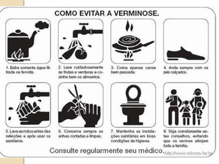 animaisinvertebrados-parte1-160916163630.pptx