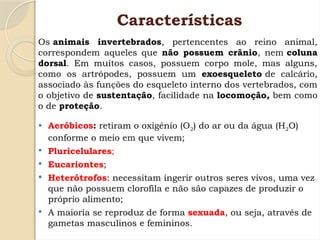 Características
Os animais invertebrados, pertencentes ao reino animal,
correspondem aqueles que não possuem crânio, nem coluna
dorsal. Em muitos casos, possuem corpo mole, mas alguns,
como os artrópodes, possuem um exoesqueleto de calcário,
associado às funções do esqueleto interno dos vertebrados, com
o objetivo de sustentação, facilidade na locomoção, bem como
o de proteção.
 Aeróbicos: retiram o oxigênio (O2) do ar ou da água (H2O)
conforme o meio em que vivem;
 Pluricelulares;
 Eucariontes;
 Heterótrofos: necessitam ingerir outros seres vivos, uma vez
que não possuem clorofila e não são capazes de produzir o
próprio alimento;
 A maioria se reproduz de forma sexuada, ou seja, através de
gametas masculinos e femininos.
 
