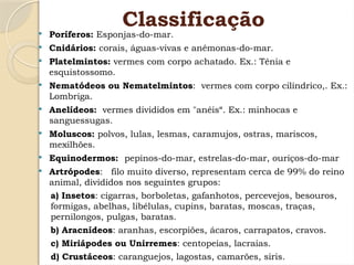 Classificação
 Poríferos: Esponjas-do-mar.
 Cnidários: corais, águas-vivas e anêmonas-do-mar.
 Platelmintos: vermes com corpo achatado. Ex.: Tênia e
esquistossomo.
 Nematódeos ou Nematelmintos: vermes com corpo cilíndrico,. Ex.:
Lombriga.
 Anelídeos: vermes divididos em "anéis“. Ex.: minhocas e
sanguessugas.
 Moluscos: polvos, lulas, lesmas, caramujos, ostras, mariscos,
mexilhões.
 Equinodermos: pepinos-do-mar, estrelas-do-mar, ouriços-do-mar
 Artrópodes: filo muito diverso, representam cerca de 99% do reino
animal, divididos nos seguintes grupos:
a) Insetos: cigarras, borboletas, gafanhotos, percevejos, besouros,
formigas, abelhas, libélulas, cupins, baratas, moscas, traças,
pernilongos, pulgas, baratas.
b) Aracnídeos: aranhas, escorpiões, ácaros, carrapatos, cravos.
c) Miriápodes ou Unirremes: centopeias, lacraias.
d) Crustáceos: caranguejos, lagostas, camarões, siris.
 