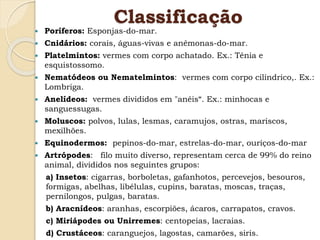 Classificação
 Poríferos: Esponjas-do-mar.
 Cnidários: corais, águas-vivas e anêmonas-do-mar.
 Platelmintos: vermes com corpo achatado. Ex.: Tênia e
esquistossomo.
 Nematódeos ou Nematelmintos: vermes com corpo cilíndrico,. Ex.:
Lombriga.
 Anelídeos: vermes divididos em "anéis“. Ex.: minhocas e
sanguessugas.
 Moluscos: polvos, lulas, lesmas, caramujos, ostras, mariscos,
mexilhões.
 Equinodermos: pepinos-do-mar, estrelas-do-mar, ouriços-do-mar
 Artrópodes: filo muito diverso, representam cerca de 99% do reino
animal, divididos nos seguintes grupos:
a) Insetos: cigarras, borboletas, gafanhotos, percevejos, besouros,
formigas, abelhas, libélulas, cupins, baratas, moscas, traças,
pernilongos, pulgas, baratas.
b) Aracnídeos: aranhas, escorpiões, ácaros, carrapatos, cravos.
c) Miriápodes ou Unirremes: centopeias, lacraias.
d) Crustáceos: caranguejos, lagostas, camarões, siris.
 