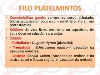 : vermes de corpo achatado,
triblásticos, acelomados e com simetria bilateral; são
protostômios.
: de vida livre, terrestres ou aquáticos, de
água doce ou salgada; e parasitas.
:
- Turbellaria : Dugesia tigrina (planária);
- Trematoda : Schistosoma mansoni (causador da
esquistossomose);
- Cestoda :Taenia solium (causador da teníase e da
cisticercose) e Taenia saginata (causador da teníase).
 
