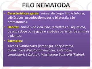 • Características gerais: animal de corpo fino e tubular,
triblásticos, pseudocelomados e bilaterais; são
protostômios.
• Hábitat: animais de vida livre, terrestres ou aquáticos,
de água doce ou salgada e espécies parasitas de animais
e plantas.
• Exemplos:
Ascaris lumbricoides (lombriga), Ancylostoma
duodenale e Necator americanus, Enterobius
vermicularis ( Oxiuro) , Wuchereria bancrofti (Filária).
 