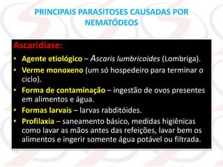 PRINCIPAIS PARASITOSES CAUSADAS POR
NEMATÓDEOS
Ascaridíase:
• Agente etiológico – Ascaris lumbricoides (Lombriga).
• Verme monoxeno (um só hospedeiro para terminar o
ciclo).
• Forma de contaminação – ingestão de ovos presentes
em alimentos e água.
• Formas larvais – larvas rabditóides.
• Profilaxia – saneamento básico, medidas higiênicas
como lavar as mãos antes das refeições, lavar bem os
alimentos e ingerir somente água potável ou filtrada.
 