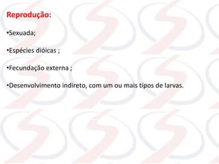 Reprodução:
•Sexuada;
•Espécies dióicas ;
•Fecundação externa ;
•Desenvolvimento indireto, com um ou mais tipos de larvas.
 
