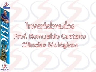 Animais invertebrados (mazza)