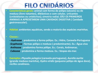 • Características gerais: animal com forma de pólipo (sésseis) ou de
medusa (livre natantes), diblásticos e com celulas. urticantes
(cnidoblastos ou cnidócitos); simetria radial; SÃO OS PRIMEIROS
ANIMAIS A APRESETAREM UMA CAVIDADE DIGESTIVA ( Cavidade
gastrovascular).
• Hábitat: ambientes aquáticos, sendo a maioria das espécies marinhas.
• Classes :
- Hydrozoa : predomina a forma pólipo. Ex.: Hidra, Caravela-Portuguesa
-Scyphozoa : formas pólipo e medusa ( predominante). Ex.: Água-viva
-Anthozoa : predomina forma pólipo. Ex.: Corais, Anêmonas.
-Cubozoa : predomina a forma medusa. Ex.: Vespas-do-mar.
• Exemplos: Physalia pelagica (caravela-portuguesa), Aurelia aurita
(grande medusa marinha), Hydra viridis (pequeno pólipo de água doce),
recifes coralíneos.
 