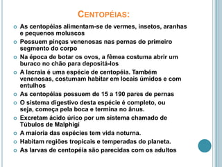 Centopéias:As centopéias alimentam-se de vermes, insetos, aranhas e pequenos moluscos Possuem pinças venenosas nas pernas do primeiro segmento do corpo Na época de botar os ovos, a fêmea costuma abrir um buraco no chão para depositá-los A lacraia é uma espécie de centopéia. Também venenosas, costumam habitar em locais úmidos e com entulhos As centopéias possuem de 15 a 190 pares de pernas O sistema digestivo desta espécie é completo, ou seja, começa pela boca e termina no ânus. Excretam ácido úrico por um sistema chamado de Túbulos de MalphigiA maioria das espécies tem vida noturna. Habitam regiões tropicais e temperadas do planeta. As larvas de centopéia são parecidas com os adultos 