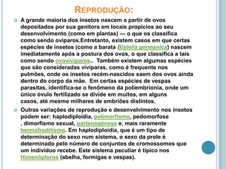 Reprodução:A grande maioria dos insetos nascem a partir de ovos depositados por sua genitora em locais propícios ao seu desenvolvimento (como em plantas) — o que os classifica como sendo ovíparos.Entretanto, existem casos em que certas espécies de insetos (como a barata Blatellagermanica) nascem imediatamente após a postura dos ovos, o que classifica a tais como sendo ovovivíparos..  Também existem algumas espécies que são consideradas vivíparas, como é frequente nos pulmões, onde os insetos recém-nascidos saem dos ovos ainda dentro do corpo da mãe.  Em certas espécies de vespas parasitas, identifica-se o fenômeno da poliembrionia, onde um único óvulo fertilizado se divide em muitos, em alguns casos, até mesmo milhares de embriões distintos. Outras variações de reprodução e desenvolvimento nos insetos podem ser: haplodiploidia, polimorfismo, pedomorfose , dimorfismo sexual, partenogênese e, mais raramente hermafroditismo. Em haplodiploidia, que é um tipo de determinação do sexo num sistema, o sexo da prole é determinado pelo número de conjuntos de cromossomos que um indivíduo recebe. Este sistema peculiar é típico nos Himenópteros (abelha, formigas e vespas). 