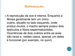 Reprodução:A reprodução da ave é interna. Enquanto a fêmea geralmente tem um único ovário, situado no lado esquerdo, onde produz óvulos, o macho sempre possui dois testículos e libera espermatozóides. Ocorrências de dois ovários entre as aves são raras e, nestes casos, apenas um deles é funcional (por exemplo, no quivi).