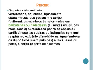 Peixes:Os peixes são animais vertebrados, aquáticos, tipicamente ectotérmicos, que possuem o corpo fusiformi, os membros transformados em barbatanas ou nadadeiras (ausentes em grupos mais basais) sustentadas por raios ósseis ou cartilaginoso, as guelras ou brânquias com que respiram o oxigênio dissolvido na água (embora os dipnóiticos usem pulmões) e, na sua maior parte, o corpo coberto de escamas.