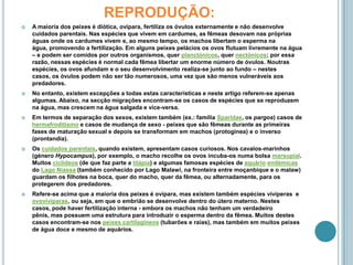 REPRODUÇÃO:A maioria dos peixes é diótica, ovípara, fertiliza os óvulos externamente e não desenvolve cuidados parentais. Nas espécies que vivem em cardumes, as fêmeas desovam nas próprias águas onde os cardumes vivem e, ao mesmo tempo, os machos libertam o esperma na água, promovendo a fertilização. Em alguns peixes pelácios os ovos flutuam livremente na água – e podem ser comidos por outros organismos, quer planctónicos, quer nectónicos; por essa razão, nessas espécies é normal cada fêmea libertar um enorme número de óvulos. Noutras espécies, os ovos afundam e o seu desenvolvimento realiza-se junto ao fundo – nestes casos, os óvulos podem não ser tão numerosos, uma vez que são menos vulneráveis aos predadores.No entanto, existem excepções a todas estas características e neste artigo referem-se apenas algumas. Abaixo, na secção migrações encontram-se os casos de espécies que se reproduzem  na água, mas crescem na água salgada e vice-versa.Em termos de separação dos sexos, existem também (ex.: família Sparidae, os pargos) casos de hermafroditismo e casos de mudança de sexo - peixes que são fêmeas durante as primeiras fases de maturação sexual e depois se transformam em machos (protoginea) e o inverso (prontandia).Os cuidados parentais, quando existem, apresentam casos curiosos. Nos cavalos-marinhos (géneroHypocampus), por exemplo, o macho recolhe os ovos incuba-os numa bolsa marsupial. Muitos ciclídeos (de que faz parte a tilápia) e algumas famosas espécies de aquárioendémicas do Lago Niassa (também conhecido por Lago Malawi, na fronteira entre moçanbique e o malaw) guardam os filhotes na boca, quer do macho, quer da fêmea, ou alternadamente, para os protegerem dos predadores.Refere-se acima que a maioria dos peixes é ovípara, mas existem também espécies vivíperas  e ovovivíparas, ou seja, em que o embrião se desenvolve dentro do útero materno. Nestes casos, pode haver fertilização interna - embora os machos não tenham um verdadeiro pênis, mas possuem uma estrutura para introduzir o esperma dentro da fêmea. Muitos destes casos encontram-se nos peixes cartilagíneos (tubarões e raias), mas também em muitos peixes de água doce e mesmo de aquários.