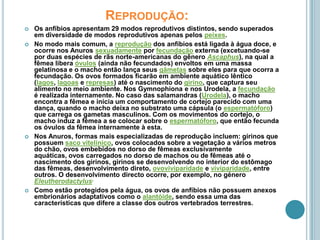 Reprodução:Os anfíbios apresentam 29 modos reprodutivos distintos, sendo superados em diversidade de modos reprodutivos apenas pelos peixes.No modo mais comum, a reprodução dos anfíbios está ligada à água doce, e ocorre nos Anuros sexuadamente por fecundação externa (excetuando-se por duas espécies de rãs norte-americanas do gênero Ascaphus), na qual a fêmea libera óvulos (ainda não fecundados) envoltos em uma massa gelatinosa e o macho então lança seus gâmetas sobre eles para que ocorra a fecundação. Os ovos formados ficarão em ambiente aquático lêntico (lagos, lagoas e represas) até o nascimento do girino, que captura seu alimento no meio ambiente. Nos Gymnophiona e nos Urodela, a fecundação é realizada internamente. No caso das salamandras (Urodela), o macho encontra a fêmea e inicia um comportamento de cortejo parecido com uma dança, quando o macho deixa no substrato uma cápsula (o espermatóforo) que carrega os gametas masculinos. Com os movimentos do cortejo, o macho induz a fêmea a se colocar sobre o espermatóforo, que então fecunda os óvulos da fêmea internamente à esta.Nos Anuros, formas mais especializadas de reprodução incluem: girinos que possuem saco vitelínico, ovos colocados sobre a vegetação a vários metros do chão, ovos embebidos no dorso de fêmeas exclusivamente aquáticas, ovos carregados no dorso de machos ou de fêmeas até o nascimento dos girinos, girinos se desenvolvendo no interior do estômago das fêmeas, desenvolvimento direto, ovoviviparidade e viviparidade, entre outros. O desenvolvimento directo ocorre, por exemplo, no géneroEleutherodactylus.Como estão protegidos pela água, os ovos de anfíbios não possuem anexos embrionários adaptativos como o alantóide, sendo essa uma das características que difere a classe dos outros vertebrados terrestres.