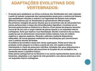 ADAPTAÇÕES EVOLUTIVAS DOS VERTEBRADOS:O estudo para estabelecer as linhas evolutivas dos Vertebrados tem sido realizado a partir do estudo comparado dos representantes atuais pois a carência de fósseis que estabeleçam relações é notável e os fragmentos de fósseis mais antigos (Silúrico) mostram que os Vertebrados já apresentavam diferenciação.Os primeiros vestígios de peixes fósseis que se encontram são de ostracodermos, peixes pertencentes à classe dos Amandibulados (Agnatha) e localizam-se em terrenos pertencentes ao Ordovicico e Silúrico. Eram peixes de pequeno tamanho (cerca de 30 cm) com o corpo coberto de placas ósseas e um esqueleto interno cartilagíneo, facto que implica a sua fossilização. Devido à estrutura da sua boca, supõe-se que se alimentavam removendo fundos lodosos ricos em matéria orgânica e, algumas espécies, filtrando o plâncton mediante dispositivos adequados. As trocas gasosas realizavam-se nas brânquias que comunicavam com o exterior através de fendas.A existência da armadura óssea tem várias explicações. Podia servir-lhes de proteção contra ataques ou evitava a perda de sais. Um aspeto evolutivo interessante é o facto de possuírem nefrídios, herdados dos seus antecessores e que evoluíram nestes peixes até assumirem as funções de um verdadeiro rim, mantendo assim o equilíbrio hídrico.Estes peixes extinguiram-se no Devónico e os únicos representantes atuais são as lampreias, adaptadas a um regime de vida parasitário, sem placas externas e com um esqueleto interno cartilagíneo.