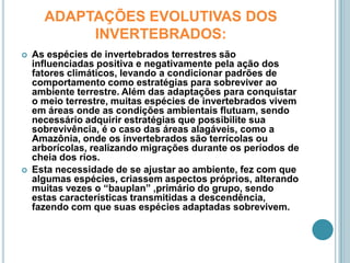 ADAPTAÇÕES EVOLUTIVAS DOS INVERTEBRADOS:As espécies de invertebrados terrestres são influenciadas positiva e negativamente pela ação dos fatores climáticos, levando a condicionar padrões de comportamento como estratégias para sobreviver ao ambiente terrestre. Além das adaptações para conquistar o meio terrestre, muitas espécies de invertebrados vivem em áreas onde as condições ambientais flutuam, sendo necessário adquirir estratégias que possibilite sua sobrevivência, é o caso das áreas alagáveis, como a Amazônia, onde os invertebrados são terrícolas ou arborícolas, realizando migrações durante os períodos de cheia dos rios.Esta necessidade de se ajustar ao ambiente, fez com que algumas espécies, criassem aspectos próprios, alterando muitas vezes o “bauplan” ,primário do grupo, sendo estas características transmitidas a descendência, fazendo com que suas espécies adaptadas sobrevivem.