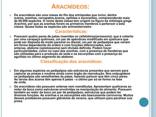 Aracnídeos:Os aracnídeos são uma classe do filo dos artrópodes que inclui, dentre outros, aranhas, carrapatos,ácaros, opiliões e escorpiões, compreendendo mais de 60.000 espécies. O nome desta classe tem origem na figura da mitologia grega Arachne, por que as aranhas foram os primeiros membros à pertencer a esta classe. Quase todas as espécies são animaisterrestreCaracterísticas:Possuem quatro pares de patas inseridas no cefalotórax(prossoma), que é coberto por uma carapaça quitinosa, um par de apêndices modificado em quelícera que pode ser disposta de modo paraxial ou diaxial, um par de pedipalpos que variam em forma dependendo da ordem e com funções diferenciadas, sem antenas, abdome (opistossoma) sem divisão definida. Podem haver particularidades, como no caso das aranhas, com a presença de fiandeiras que são utilizadas para a produção de seda e os escorpiões com a presença do aguilhão no último segmento do abdome.Classificação dos aracnídeos:Em algumas espécies os pedipalpos são estruturas presentes que servem para capturar as presas e noutras ainda como órgão da reprodução. Nos solpugídeos os pedipalpos são semelhantes às patas, fazendo parecer que têm cinco pares. As larvas dos ácaros têm apenas 6 patas - o último par só se forma na fase de ninfa.Os aracnídeos não possuem antenas nem mandíbulas. Apresentam quelíceras ao redor da boca como estruturas envolvidas na manipulação do alimento. Possuem também ao redor da boca um par de pedipalpos, estruturas que podem ter diversas funções. As aranhas e os escorpiões são basicamente carnívoros. Muitos desses predadores possuem glândulas de veneno, que utilizam para paralisar sua presa.