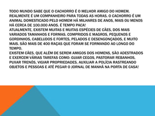 TODO MUNDO SABE QUE O CACHORRO É O MELHOR AMIGO DO HOMEM. 
REALMENTE É UM COMPANHEIRO PARA TODAS AS HORAS. O CACHORRO É UM 
ANIMAL DOMESTICADO PELO HOMEM HÁ MILHARES DE ANOS, MAIS OU MENOS 
HÁ CERCA DE 100.000 ANOS. É TEMPO PACA! 
ATUALMENTE, EXISTEM MUITAS E MUITAS ESPÉCIES DE CÃES, DOS MAIS 
VARIADOS TAMANHOS E FORMAS. COMPRIDOS E MAGROS, PEQUENOS E 
GORDINHOS, CABELUDOS E FORTES, PELADOS E DESENGONÇADOS, E MUITO 
MAIS. SÃO MAIS DE 400 RAÇAS QUE FORAM SE FORMANDO AO LONGO DO 
TEMPO. 
EXISTEM CÃES, QUE ALÉM DE SEREM AMIGOS DOS HOMENS, SÃO ADESTRADOS 
E EXERCEM VÁRIAS TAREFAS COMO: GUIAR CEGOS, PASTORAR REBANHOS, 
PUXAR TRENÓS, VIGIAR PROPRIEDADES, AUXILIAR A POLÍCIA RASTREANDO 
OBJETOS E PESSOAS E ATÉ PEGAR O JORNAL DE MANHÃ NA PORTA DE CASA! 
 