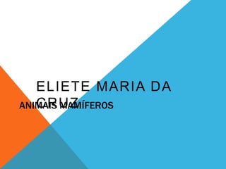 ELIETE MARIA DA 
CRUZ 
ANIMAIS MAMÍFEROS 
 