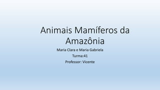 Animais Mamíferos da
Amazônia
Maria Clara e Maria Gabriela
Turma:41
Professor: Vicente
 