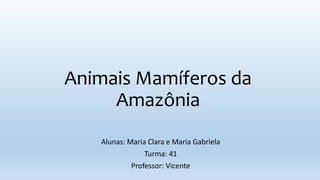 Animais Mamíferos da
Amazônia
Alunas: Maria Clara e Maria Gabriela
Turma: 41
Professor: Vicente
 