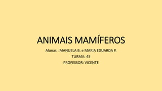 ANIMAIS MAMÍFEROS
Alunas : MANUELA B. e MARIA EDUARDA P.
TURMA: 45
PROFESSOR: VICENTE
 