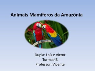 Animais Mamíferos da Amazônia
Dupla: Laís e Victor
Turma:43
Professor: Vicente
 